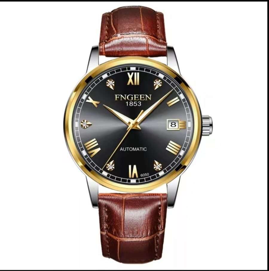 Mechanical Luminous Leather Men Watch