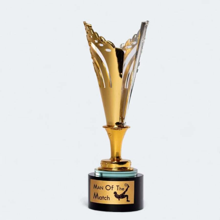 Award Trophy Ideas in Nairobi Kenya