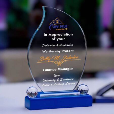 Elegant Branded Crystal Award Trophy