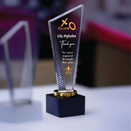 Customizable Crystal Award