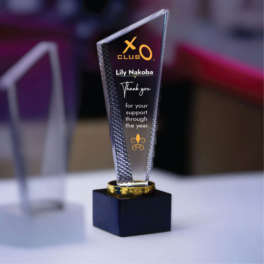 Customizable Crystal Award