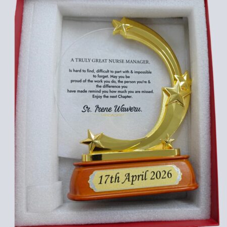 Personalized Star Corporate Award Trophy