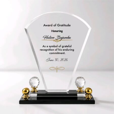 Custom Recognition Award Trophies
