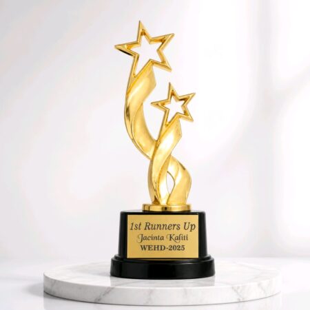 Elegant Golden Star Award Trophy