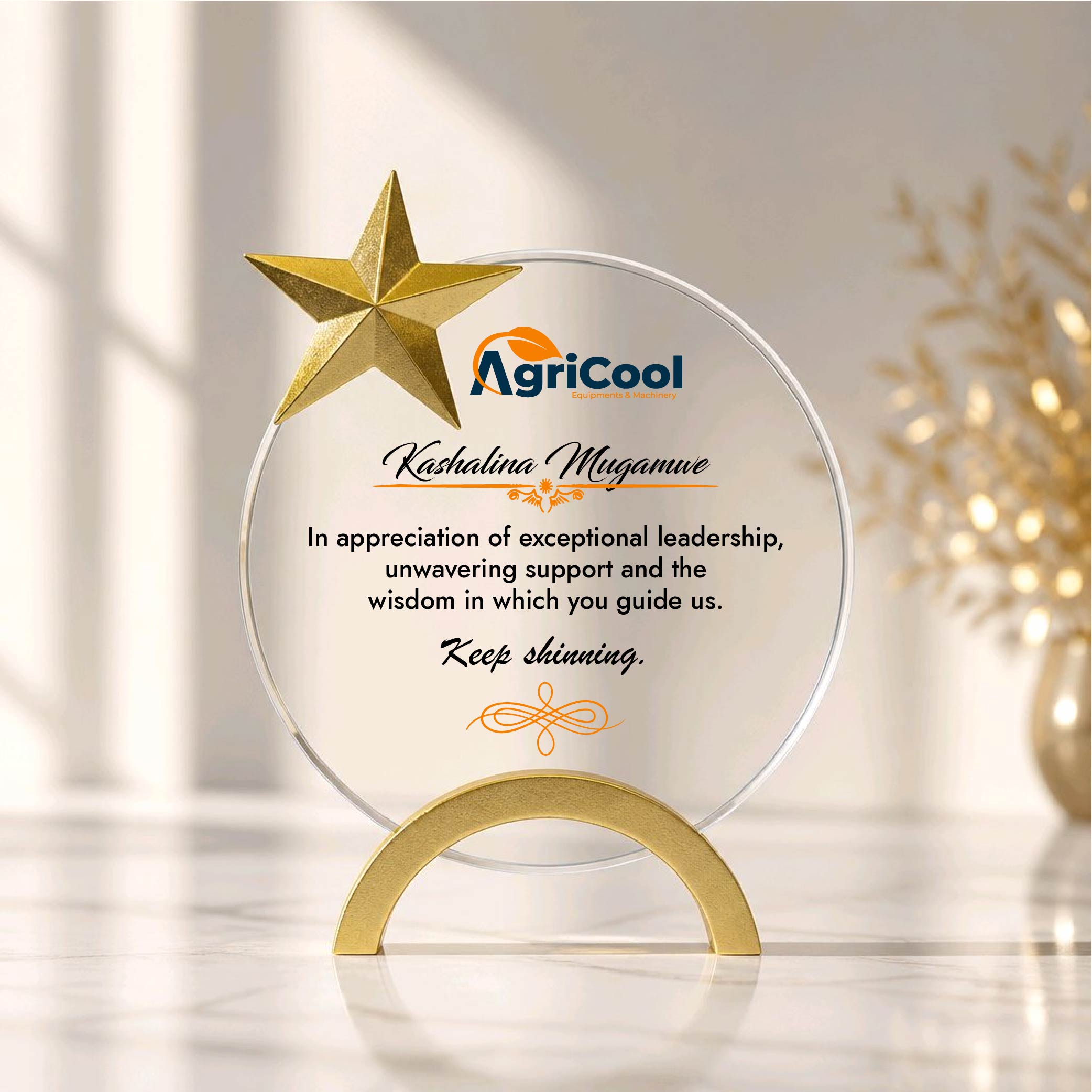 Premium Corporate Recognition Plaques
